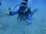 Hawaii Scuba divng 51