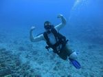 Hawaii Scuba divng 51