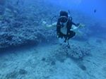 Hawaii Scuba divng 53