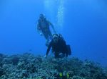 Hawaii Scuba divng 54