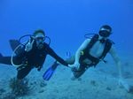 Hawaii Scuba divng 56