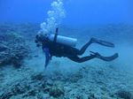 Hawaii Scuba divng 56