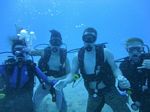 Hawaii Scuba divng 58