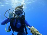 Hawaii Scuba divng 64
