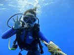 Hawaii Scuba divng 64