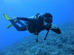 Hawaii Scuba divng 06