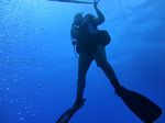 Hawaii Scuba divng 10