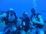 Hawaii Scuba divng 15