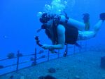 Hawaii Scuba divng 21