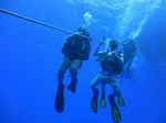 Hawaii Scuba divng 03