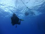 Hawaii Scuba divng 41