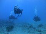 Hawaii Scuba divng 43