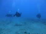 Hawaii Scuba divng 44