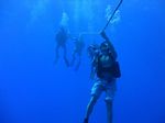 Hawaii Scuba divng 04