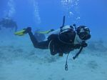 Hawaii Scuba divng 56