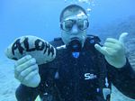 Hawaii Scuba divng 57