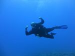 Hawaii Scuba divng 62