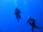 Hawaii Scuba divng 06