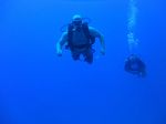 Hawaii Scuba divng 09