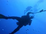 Hawaii Scuba divng 11