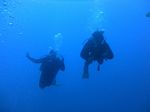 Hawaii Scuba divng 23