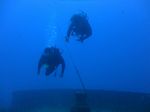 Hawaii Scuba divng 29