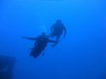 Hawaii Scuba divng 31