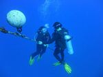 Hawaii Scuba divng 35