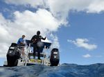 Hawaii Scuba divng 37