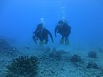 Hawaii Scuba divng 44