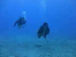 Hawaii Scuba divng 48