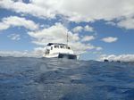 Hawaii Scuba divng 04