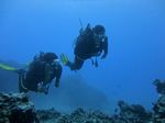 Hawaii Scuba divng 54