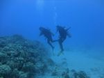 Hawaii Scuba divng 56