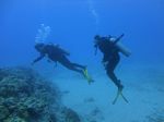 Hawaii Scuba divng 56