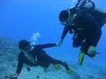 Hawaii Scuba divng 57