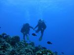 Hawaii Scuba divng 61