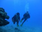 Hawaii Scuba divng 62