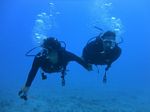 Hawaii Scuba divng 65