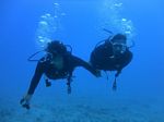 Hawaii Scuba divng 65