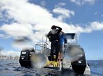 Hawaii Scuba divng 06