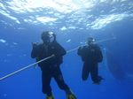 Hawaii Scuba divng 07