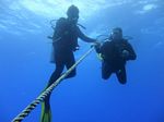 Hawaii Scuba divng 08