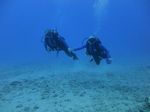 Hawaii Scuba divng 12