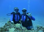 Hawaii Scuba divng 13