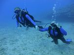 Hawaii Scuba divng 15