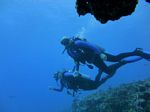 Hawaii Scuba divng 16