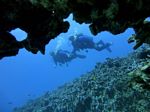 Hawaii Scuba divng 17