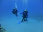 Hawaii Scuba divng 18