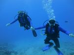 Hawaii Scuba divng 19